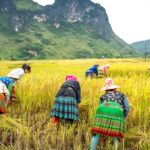 découvrez comment lancer et développer votre entreprise de broderie avec des conseils pratiques, des stratégies marketing efficaces et des idées créatives pour réussir dans ce secteur artisanal.