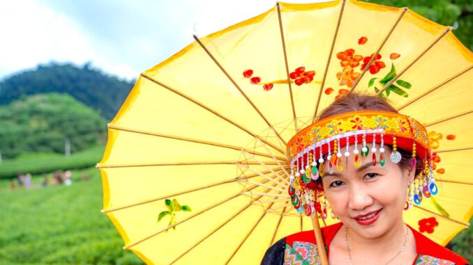 découvrez nos modèles de broderie personnalisés uniques, parfaits pour ajouter une touche créative à vos projets de couture et textiles.