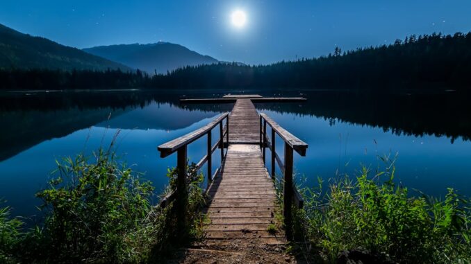 découvrez des techniques de relaxation pour réduire le stress, améliorer votre bien-être et retrouver la sérénité au quotidien.