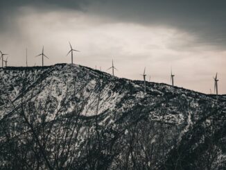 découvrez l'art de la broderie durable alliant créativité et respect de l'environnement pour des créations uniques et écoresponsables.
