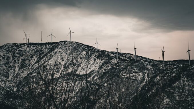 découvrez l'art de la broderie durable alliant créativité et respect de l'environnement pour des créations uniques et écoresponsables.